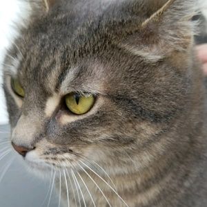 Meet your Posher, Charlie